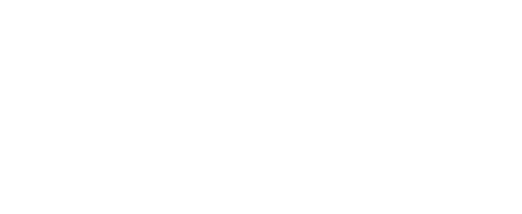 LIF-LOGO-WHITE leadershipintegrityframework.com